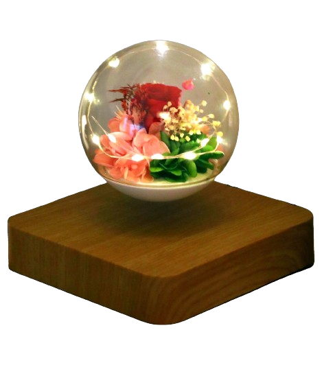 Levitating rose bulb lamp with soft LED lights