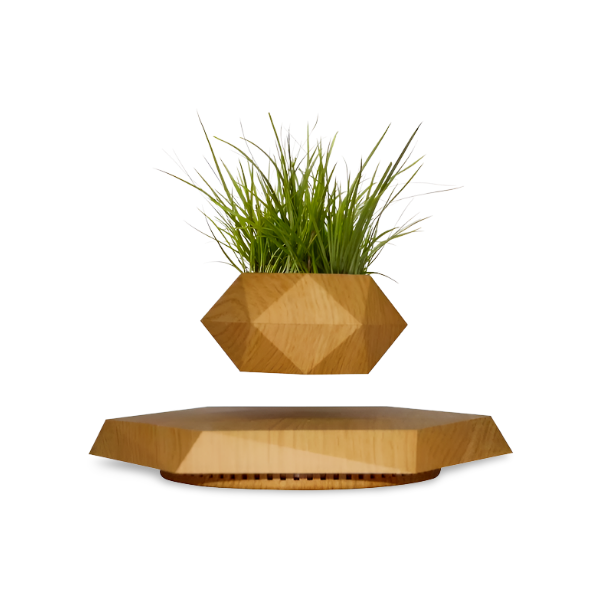 LEV Plant™ Floating Plant Pot