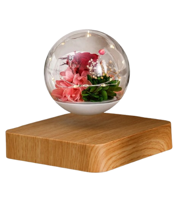 Lev Rose Bulb™ - Levitating Rose Bulb