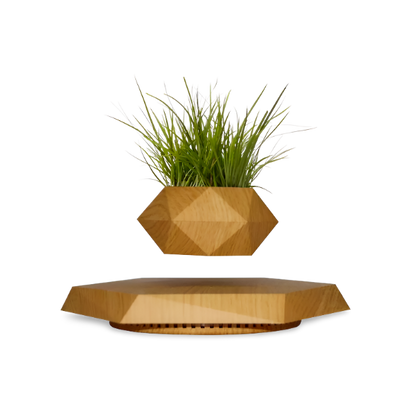 LEV Plant™ - Levitating Plant Pot