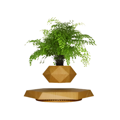 LEV Plant™ - Levitating Plant Pot