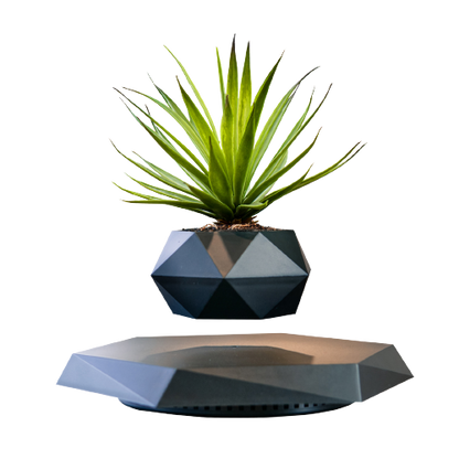 floating plant pot LEV Plant™ Floating Plant Pot – Allycias Store