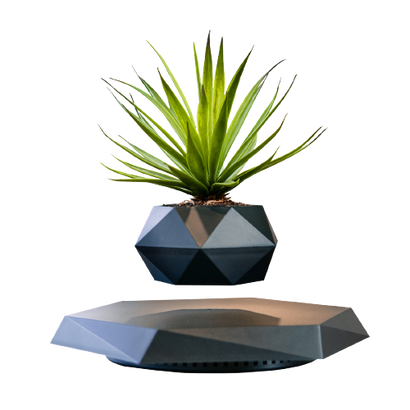 LEV Plant™ - Levitating Plant Pot